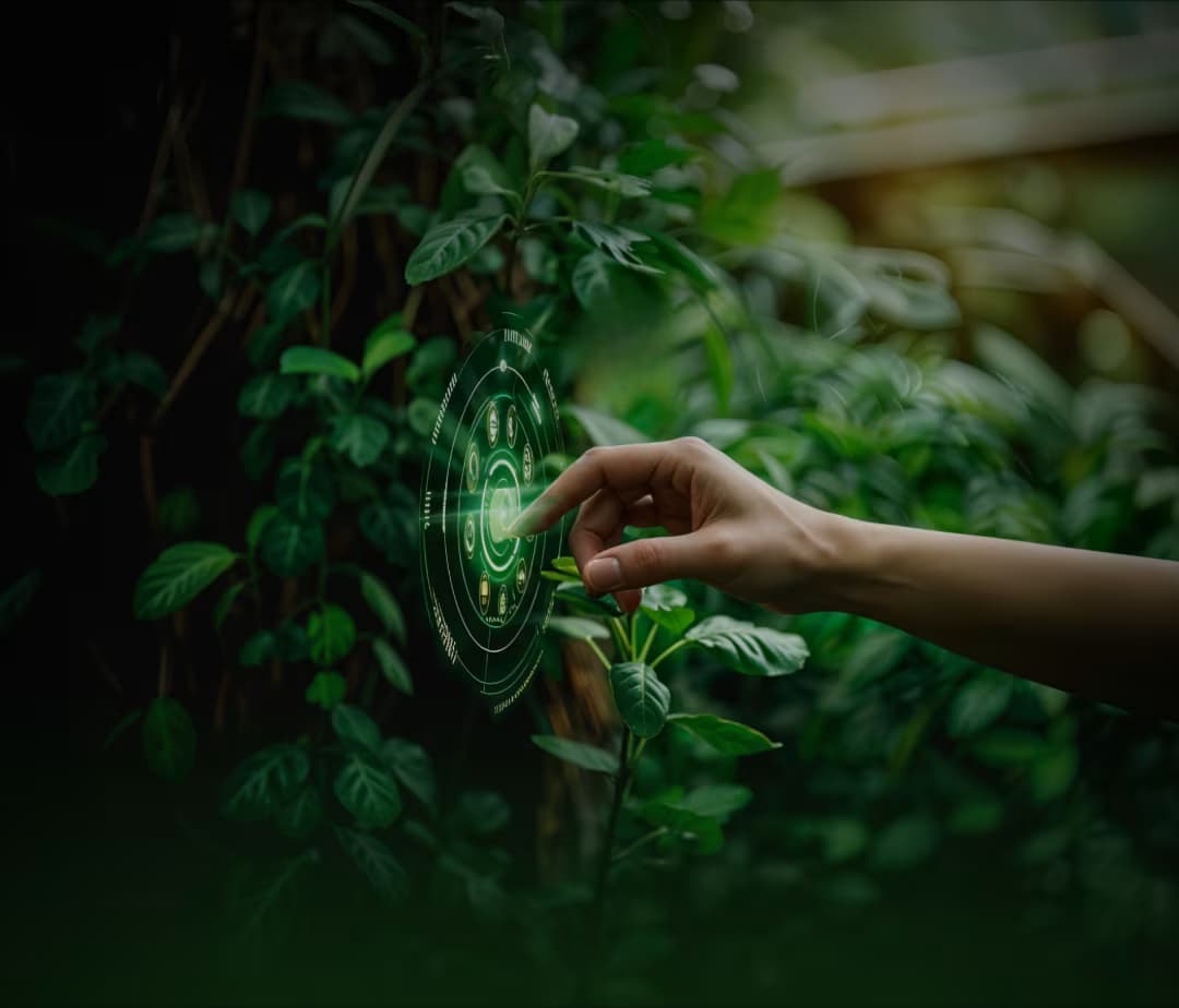 Veeline Banner Image